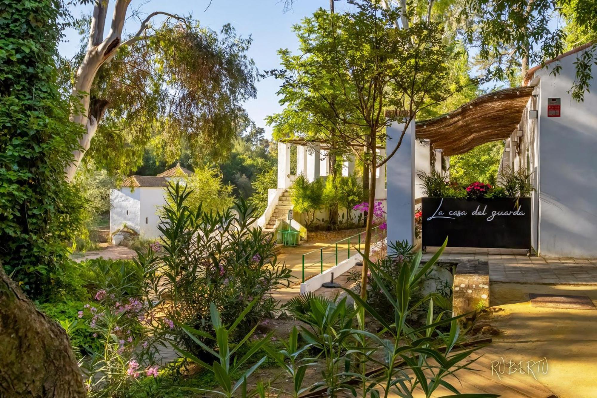 Apartamento Nuevo Centrico Con Aparcamiento Privado Incluido Alcalá de Guadaira Eksteriør billede